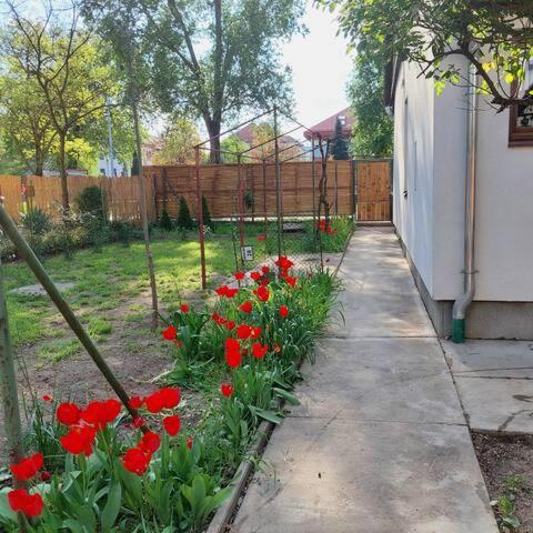 Ujszeged Apartman Dış mekan fotoğraf