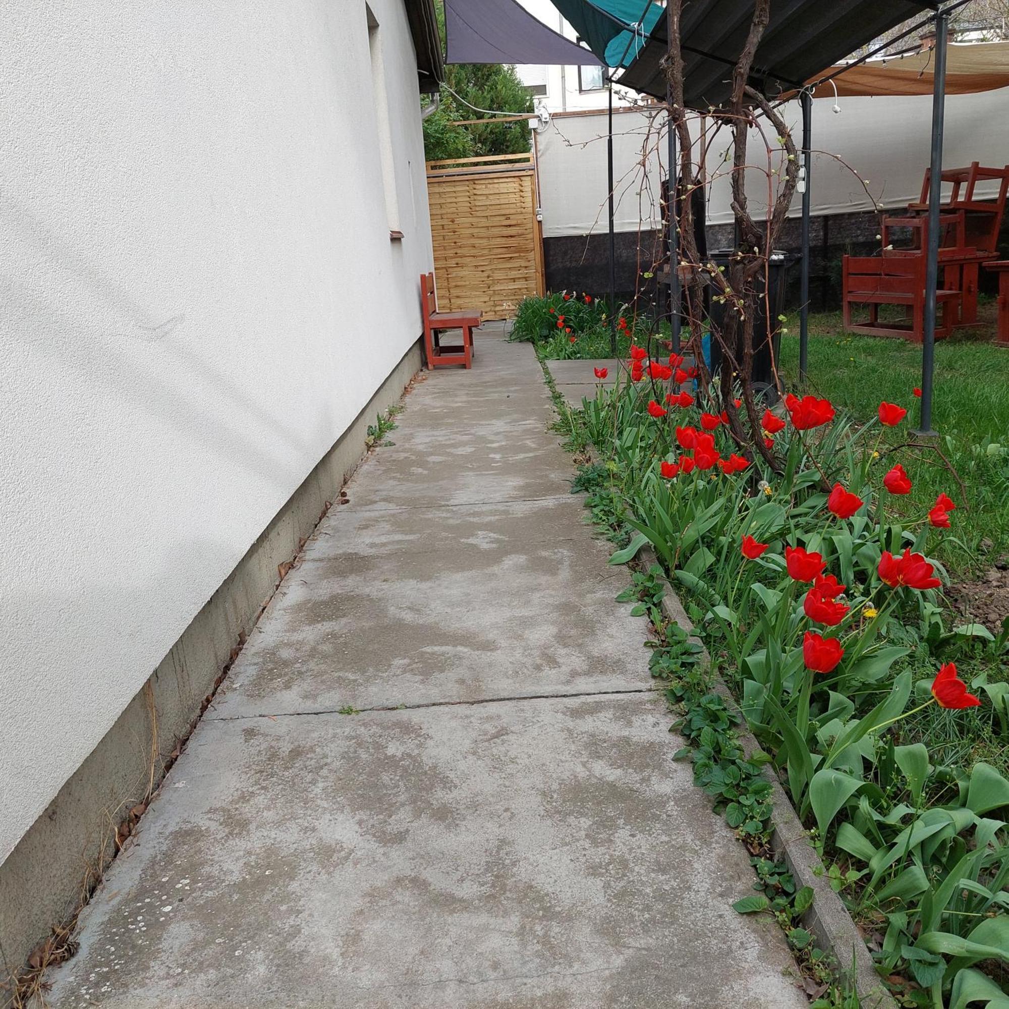 Ujszeged Apartman Dış mekan fotoğraf